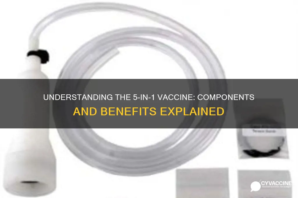what is in the 5 in 1 vaccine