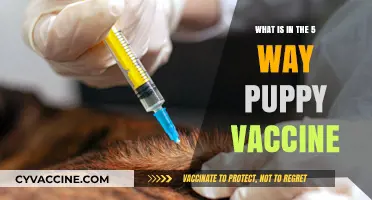 Understanding the 5-Way Puppy Vaccine: Essential Components Explained