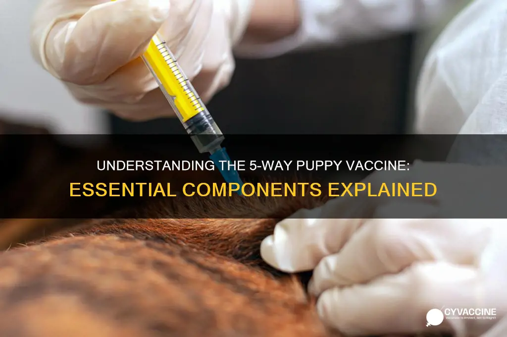 what is in the 5 way puppy vaccine