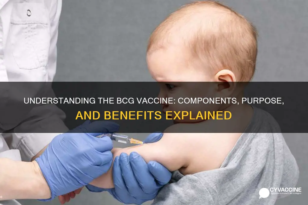 what is in the bcg vaccine
