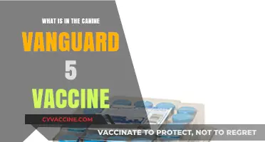 Understanding the Canine Vanguard 5 Vaccine: Ingredients and Benefits
