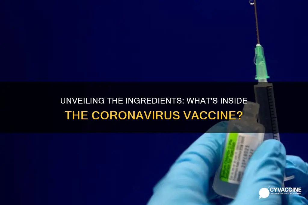 what is in the coronavirus vaccine made of