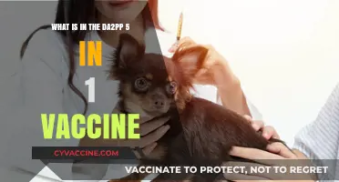 Understanding the DA2PP 5-in-1 Vaccine: Components and Benefits Explained