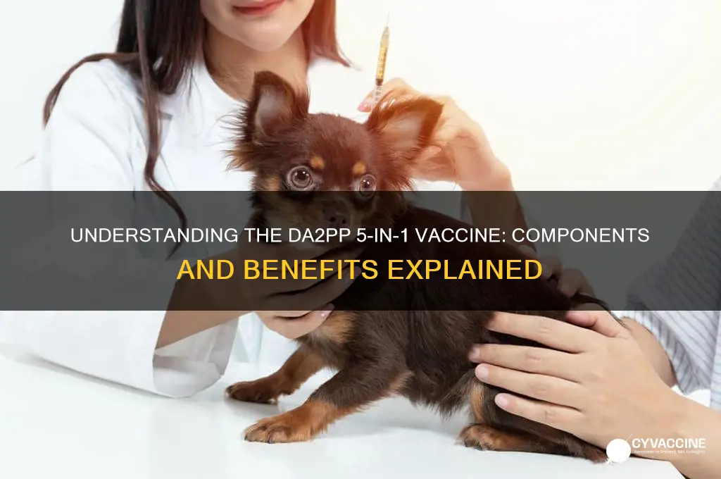 what is in the da2pp 5 in 1 vaccine