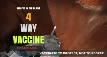 Understanding the Equine 4-Way Vaccine: Components and Benefits Explained