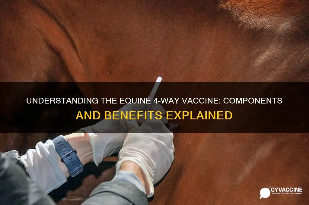 what is in the equine 4 way vaccine