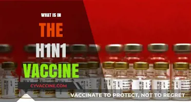 Understanding the H1N1 Vaccine: Ingredients and Their Purpose Explained