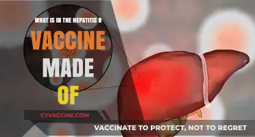 Understanding the Components of the Hepatitis B Vaccine: A Breakdown