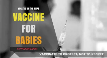 Understanding the HepB Vaccine: Ingredients and Benefits for Infants