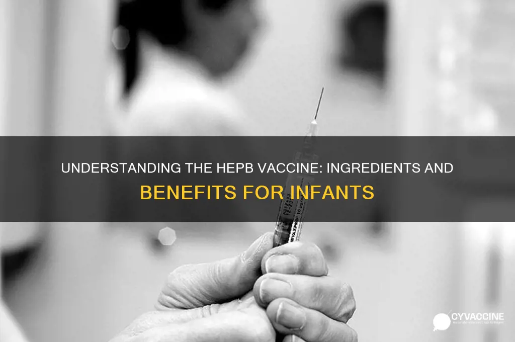 what is in the hepb vaccine for babies