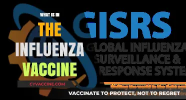 Understanding the Influenza Vaccine: Key Components and Their Role
