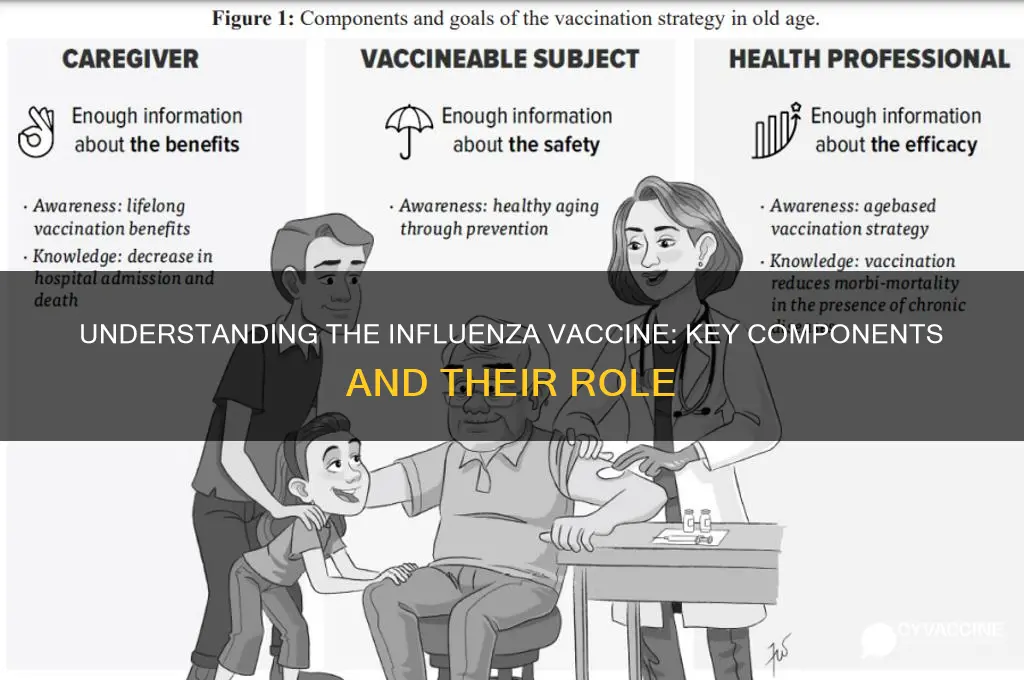 what is in the influenza vaccine