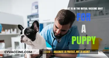 Understanding Your Puppy's First Vaccine Shot: Ingredients and Importance