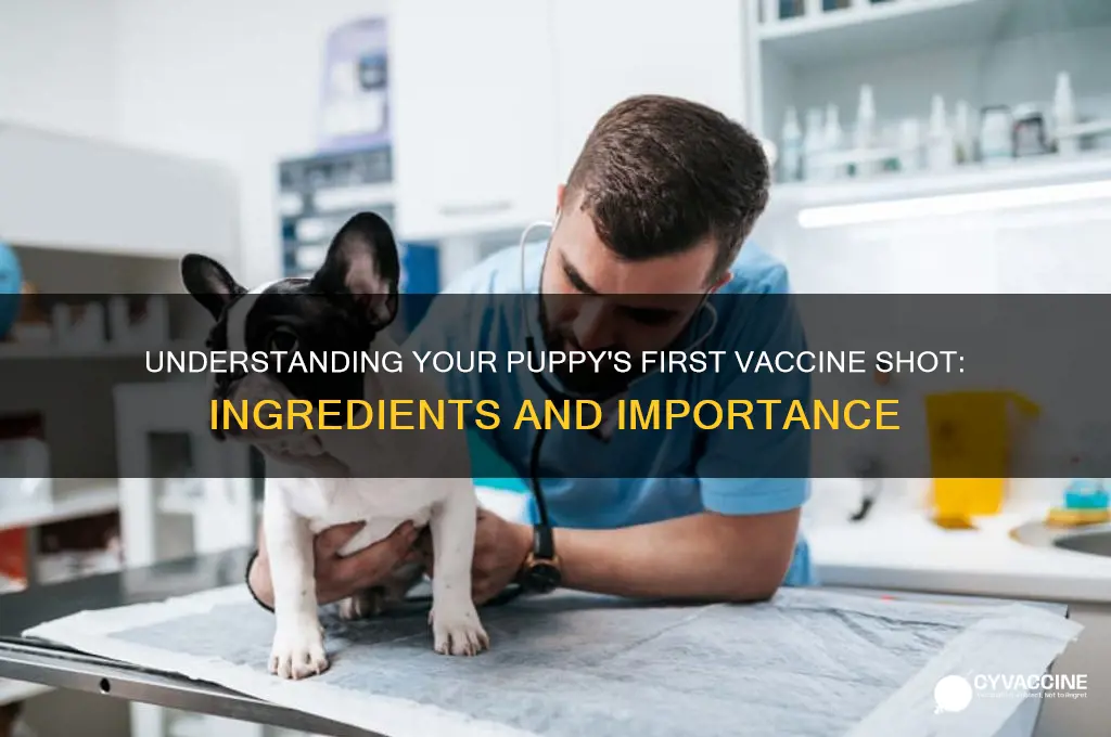 what is in the initial vaccine shot for a puppy