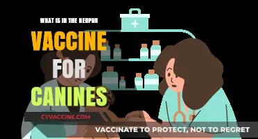 Understanding the Canine NeoPar Vaccine: Ingredients and Benefits Explained