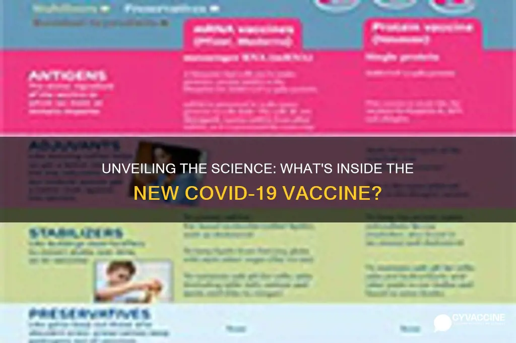 what is in the new corona virus vaccine