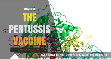Understanding the Pertussis Vaccine: Components, Purpose, and Safety Explained