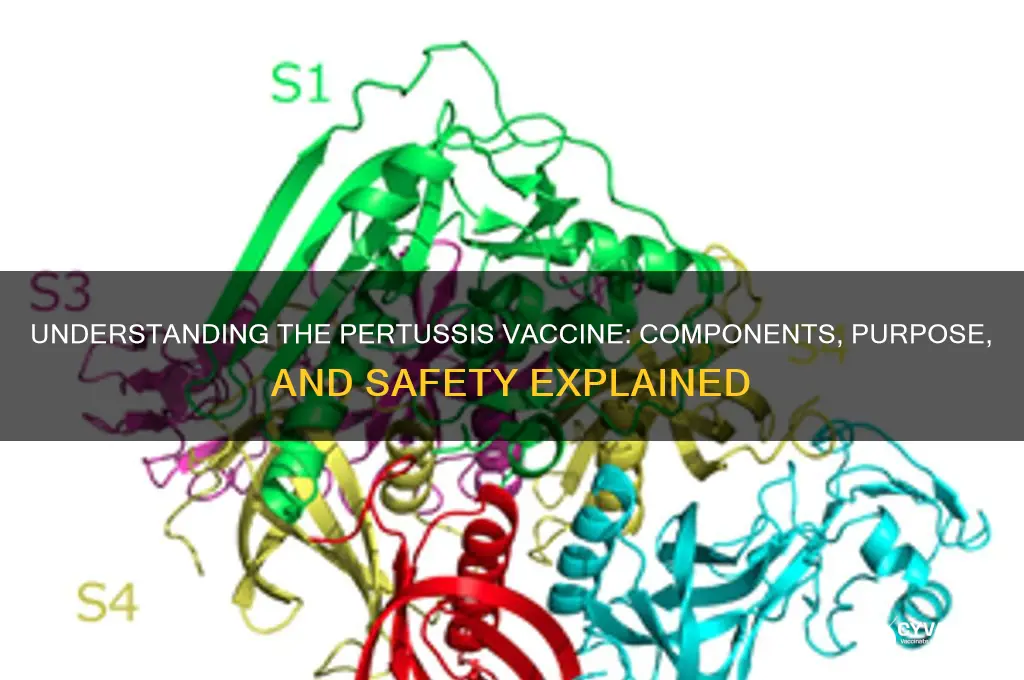 what is in the pertussis vaccine