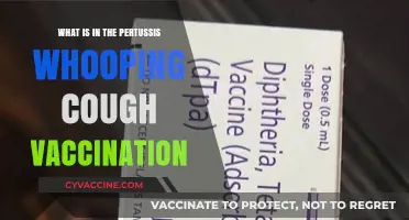 Understanding the Pertussis Whooping Cough Vaccination: Components and Benefits