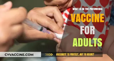 Understanding Adult Pneumonia Vaccines: Ingredients, Benefits, and Protection