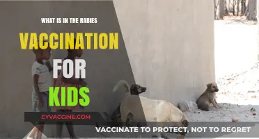 Understanding the Rabies Vaccination for Children: Ingredients and Importance