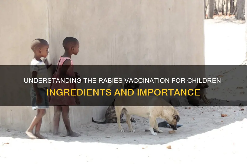 what is in the rabies vaccination for kids