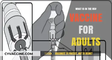 Understanding the RSV Vaccine: Ingredients and Benefits for Adults
