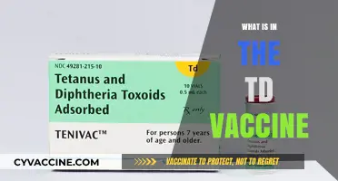 Understanding the TD Vaccine: Components, Purpose, and Importance Explained