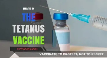 Understanding the Tetanus Vaccine: Ingredients, Purpose, and Safety Explained