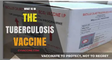 Understanding the Tuberculosis Vaccine: Ingredients and Their Role in Protection