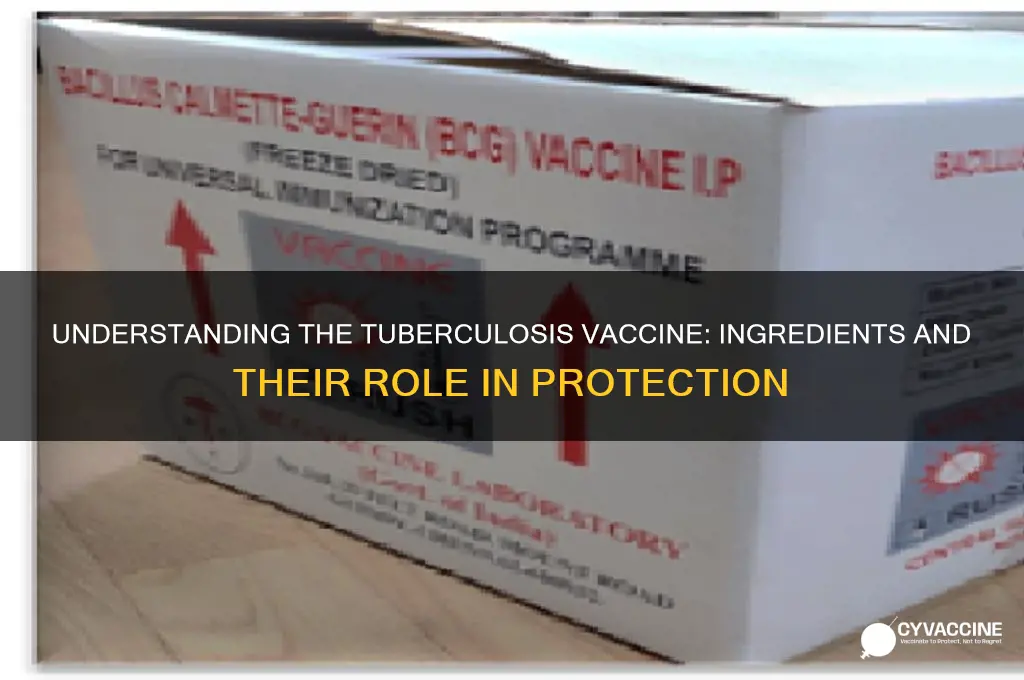 what is in the tuberculosis vaccine