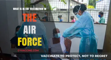 Air Force Vaccinations: Ingredients, Purpose, and Safety Explained