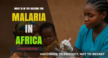 Understanding Africa's Malaria Vaccine: Ingredients, Efficacy, and Impact