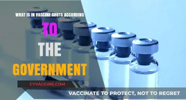 Government-Approved Vaccine Ingredients: What's Inside Your Shot?