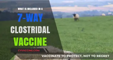 Understanding the Components of a 7-Way Clostridial Vaccine for Livestock