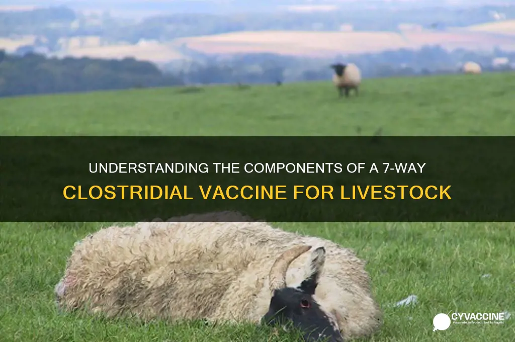 what is included in a 7-way clostridal vaccine