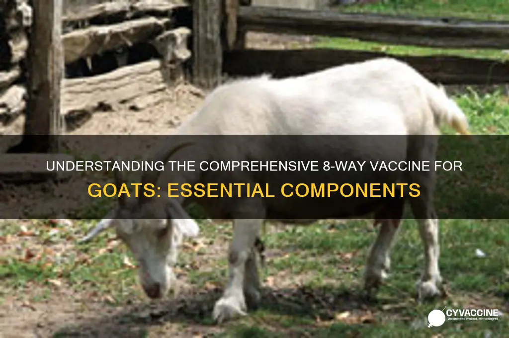what is included in a 8-way vaccine for goats