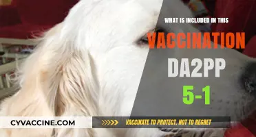 Understanding DA2PP 5-1 Vaccination: Essential Components Explained