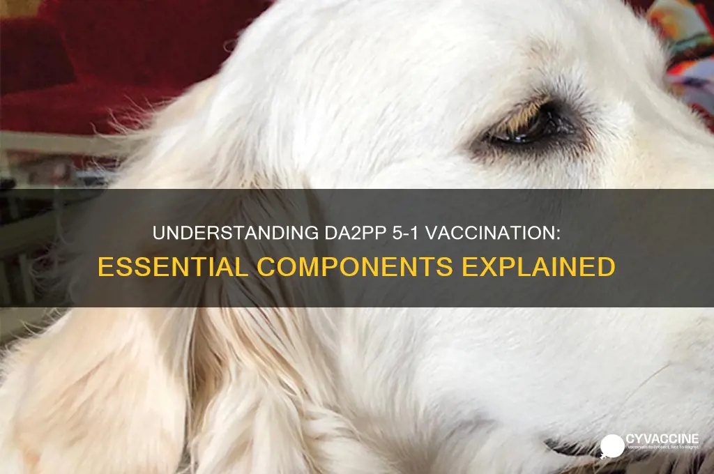 what is included in this vaccination da2pp 5-1