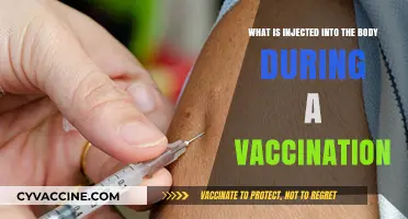 Understanding Vaccines: What Substances Are Injected During Immunization?