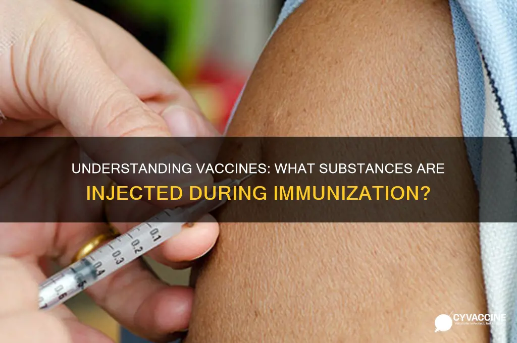 what is injected into the body during a vaccination