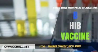 Understanding the Components of Haemophilus Influenzae Type B (Hib) Vaccine