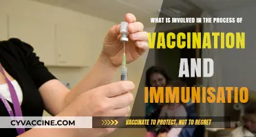 Understanding Vaccination and Immunisation: A Comprehensive Guide to the Process