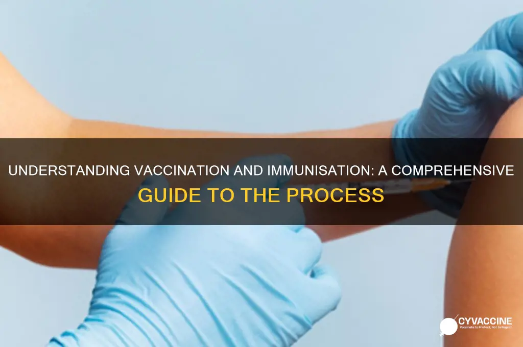 what is involved in the process of vaccination and immunisation