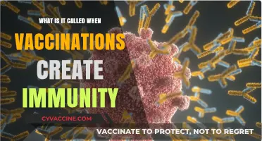 Vaccine-Induced Immunity: Understanding How Vaccinations Create Protection