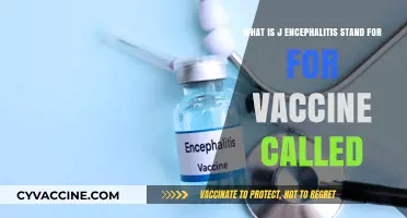 Understanding J Encephalitis: Vaccine Name and Its Importance Explained