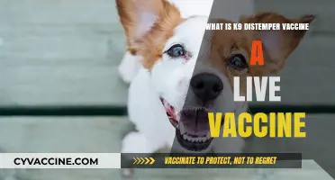 Understanding K9 Distemper Live Vaccine: Benefits and Importance for Dogs