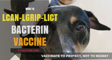 Understanding the LCAN-LGrip-LICT-LPOM Bacterin Vaccine: Uses and Benefits