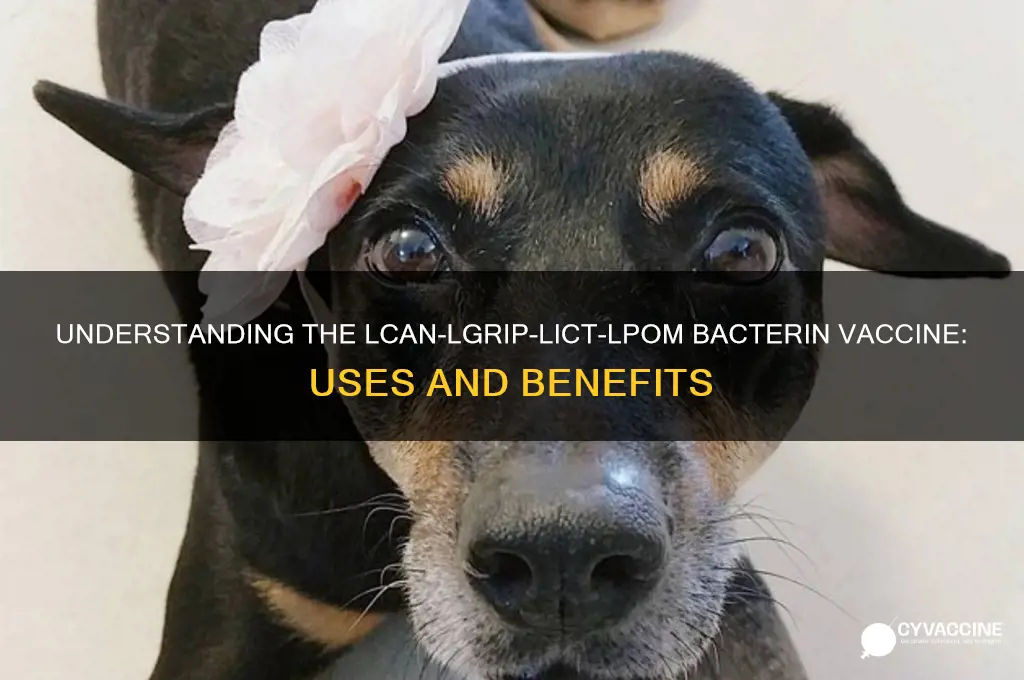 what is lcan-lgrip-lict-lpom bacterin vaccine