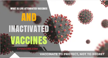 Live Attenuated vs. Inactivated Vaccines: Understanding Key Differences and Benefits